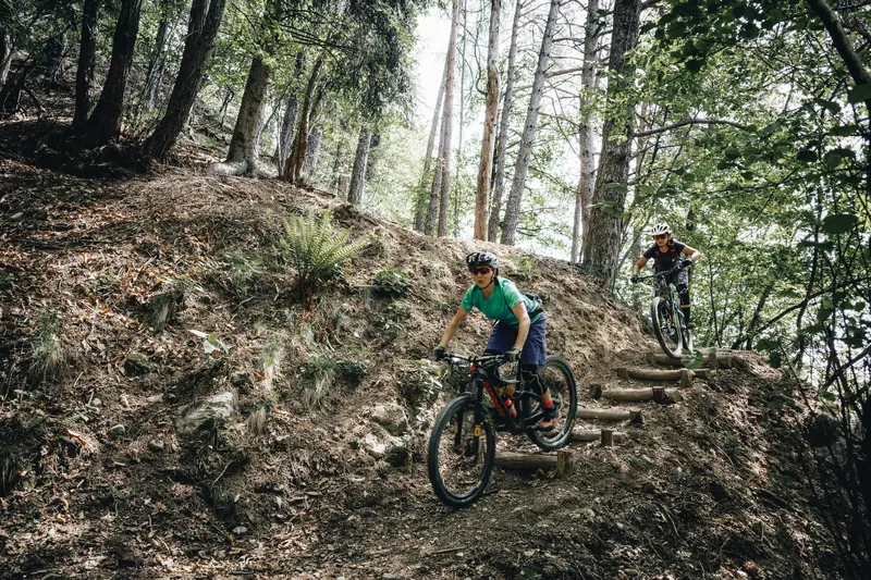Zwei Mountainbiker auf einem Waldtrail